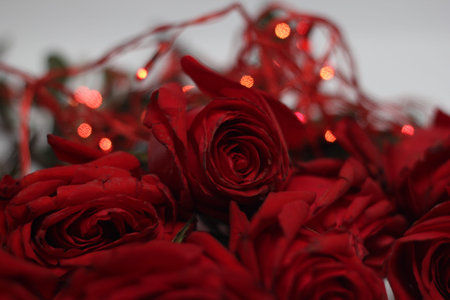 Red roses Valentines Day background. Flowers composition