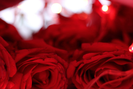Red roses Valentines Day background. Flowers composition