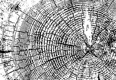 Distress Dry Wooden Overlay Texture For Your Design vectorのイラスト素材