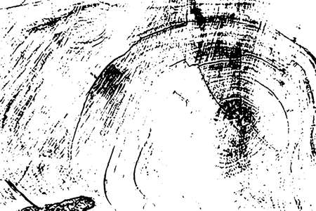 Distress Dry Wooden Overlay Texture For Your Design vectorのイラスト素材