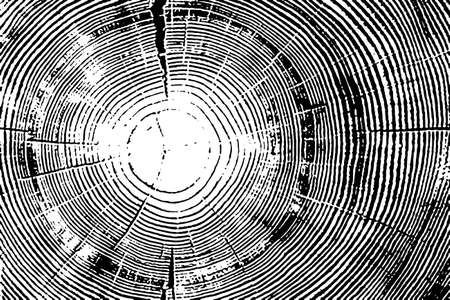 Distress Dry Wooden Overlay Texture For Your Design vectorのイラスト素材