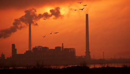 Industrial landscape with power plant and seagulls at sunsetの素材