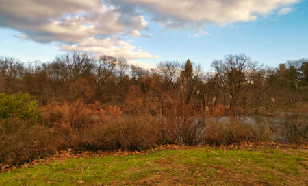 The central park, New York city daylight view showing trees and clouds in the skyの写真素材