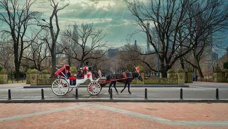 A horse and buggy carriage with coachman in Central Park NYC with visitors inside, Sunset view with skyline and clouds in the sky in backgroundのeditorial素材