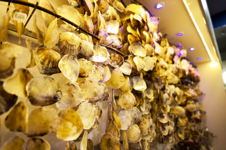 A close-up view of decorative hanging seashells illuminated by warm lights, creating a coastal...