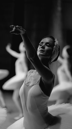 Ballerinas in white tutus, view from backstage. Black and white photosの写真素材