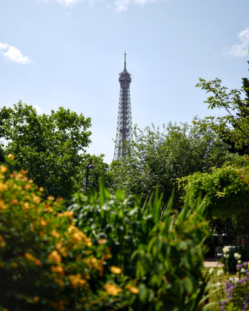 Eiffel Tower framed by lush green foliage in Paris parkの写真素材