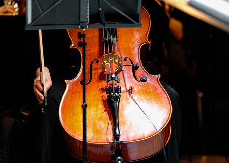 Cello front view showing wooden body bridge and strings with bow handの写真素材