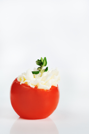 tomatoes in studio portraitの写真素材