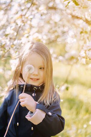 portrait of a girl with a dandelion in hands on a park backgroundの写真素材