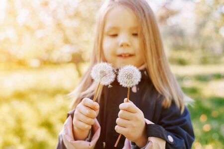 portrait of a girl with a dandelion in hands on a park background. blue jacket. sunny day. happiness conceptの写真素材