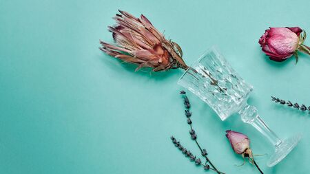 Proteus flower and rose with a glass on a turquoise backgroundの写真素材
