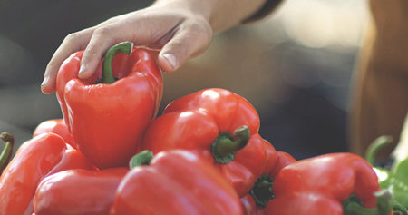selective focus close up on hand taking fresh red peppers fruits from vegetables open air market.