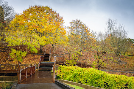 A beautiful peaceful autumn scene in the park during the rainの写真素材