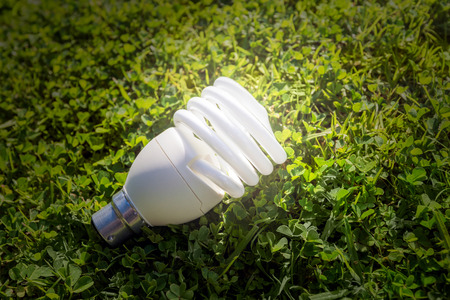 Energy saving lamp on the green grassの写真素材
