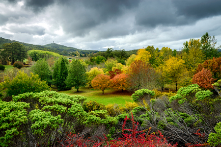 Autumn landscape under the rain in Adelaide Hillsの写真素材