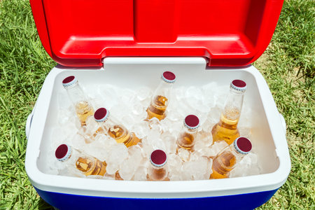 Picnic cooler box with bottles of beer and ice on grass during Australia Day celebration