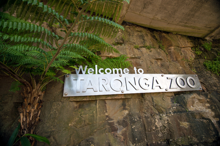 Sydney, Australia - November 09, 2015: Taronga Zoo sign mounted on the rocks at the entrance. Taronga Zoo is managed by the Zoological Parks Board of New South Wales and is home to over 4,000 animals of 340 speciesのeditorial素材