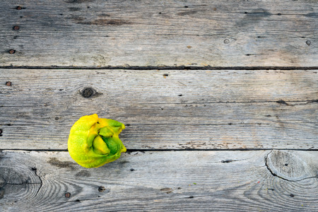 Top flat lay view of trendy ugly lemon from home garden on barn wood table, Australian grown.の写真素材