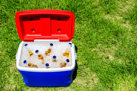 Picnic cooler box with bottles of beer in ice on grass during Australia Day celebrationの写真素材