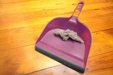 Dustpan with ball of dust on floor in room inside houseの写真素材