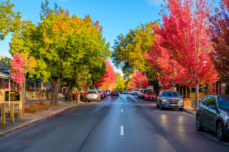 Hahndorf, South Australia - April 9, 2017: Main street views of Hahndorf in Adelaide Hills area with shops and cafes during autumn season after rainのeditorial素材