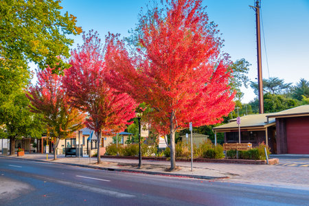 Hahndorf, South Australia - April 9, 2017: Main street views of Hahndorf in Adelaide Hills area with shops and cafes during autumn season after rainのeditorial素材