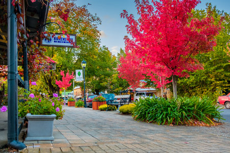 Hahndorf, South Australia - April 9, 2017: Main street views of Hahndorf in Adelaide Hills area with shops and cafes during autumn season after rainのeditorial素材