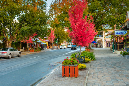 Hahndorf, South Australia - April 9, 2017: Main street views of Hahndorf in Adelaide Hills area with shops and cafes during autumn season after rainのeditorial素材