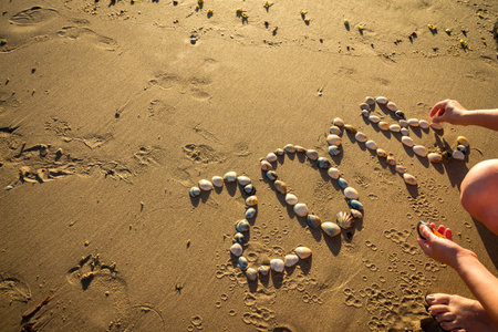 2018 New Year text made using shells on beach