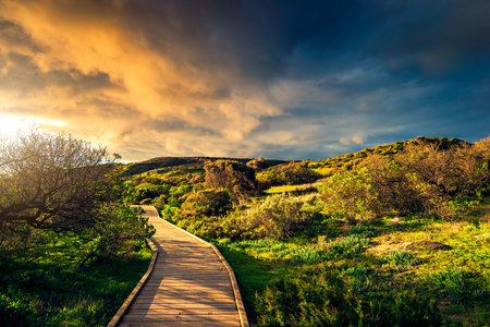 Hallett Cove conservation park boardwalk at sunset, South Australiaの写真素材