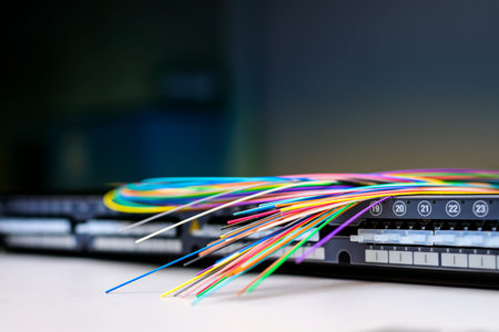 Fibre optic cables on top of patch distribution panel shelf for enterprise networking