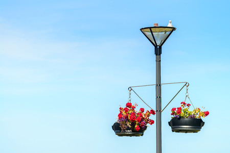 Lightpole with hanging flower pots and seagull on top in Victor Harbor, South Australiaの写真素材