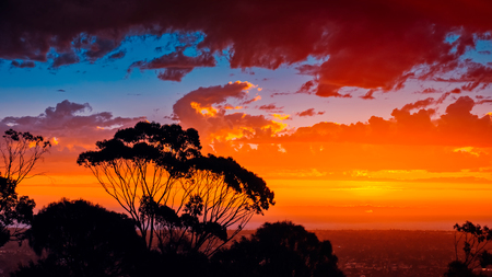 Dramatic sunset through gumtrees viewed from Windy Point, South Australiaの写真素材