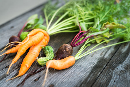 Homegrown organic carrot, cucumber and beetroot picked from a garden bed