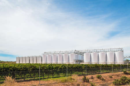 Grapevines with large wine tanks viewed from the highway in South Australia on a dayの写真素材