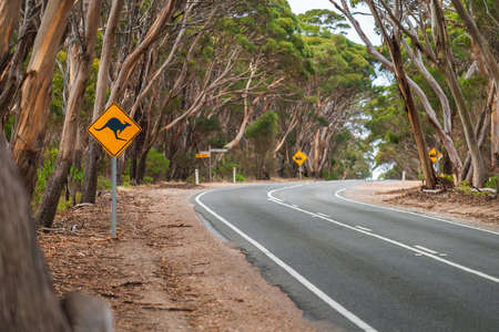 Kangaroo warning sign by the country road on a day, Kangaroo Island, South Australiaの写真素材