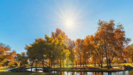 Rymill Park with bridge over the pond in Adelaide city on a sunny autumn dayの写真素材