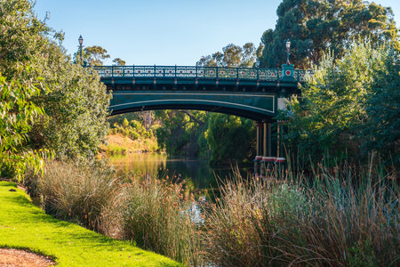 Old Albert Bridge over the River Torrens in Adelaide city on a day, South Australiaの写真素材