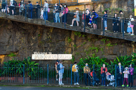 Sydney, Australia - April 17, 2022: People lined up on the stairs in the queue to the Taronga Zoo entrance on a day.のeditorial素材