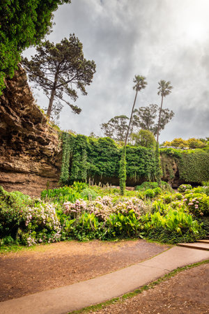 Umpherston Sinkhole Cave Gardens viewed from the bottom grounds, Mt Gambier, Limestone Coast, South Australiaの写真素材