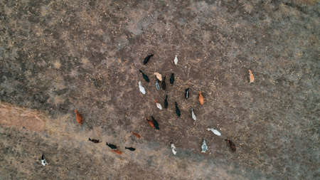 geographical feature rift valley, Tanzaniaの写真素材