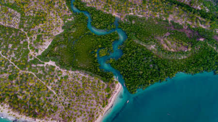 mangroove swamp at Kanga beach, mafia islandの写真素材
