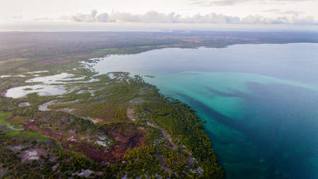 swamp, mafia islandの写真素材