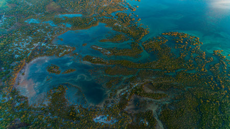 swamp, mafia islandの写真素材