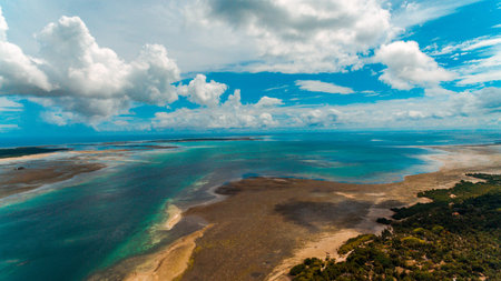 utende beach area, mafia island