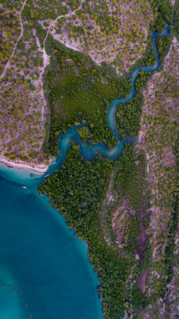 mangroove swamp at Kanga beach, mafia islandの写真素材