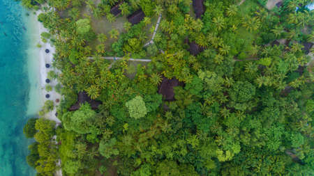 pole pole resort, Mafia islandの写真素材