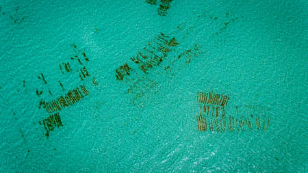 historical stone town area, Zanzibar islandの写真素材