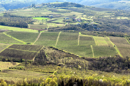 Arable land, meadows and vineyards in Istria